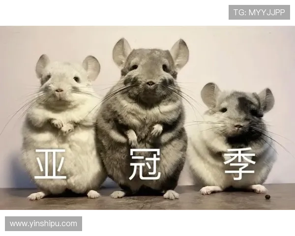 金吉利：离胜利只差一步 冠亚军实至名归